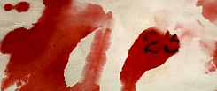 The Number 23