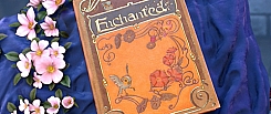 Enchanted Enchanted