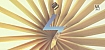 Visual Arabia 2013