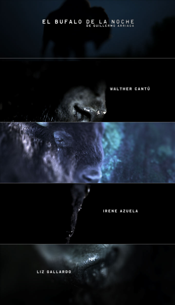 El B&uacute;falo de la Noche, title sequence (stills)